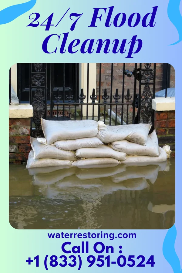 24/7 Flood Cleanup in Bellmont, IL