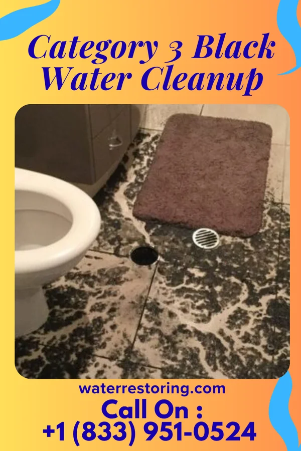 Category 3 Black Water Cleanup in Bellmont, IL