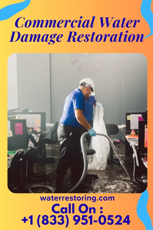 Commercial Water Damage Restoration in Bellmont, IL
