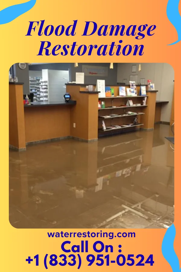 Flood Damage Restoration in Bellmont, IL