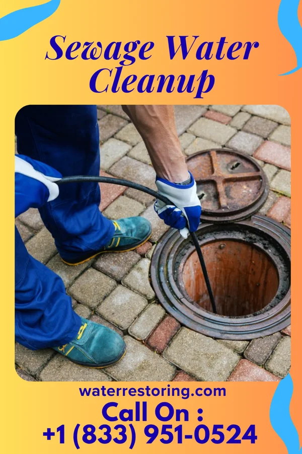Sewage Water Cleanup in Bellmont, IL